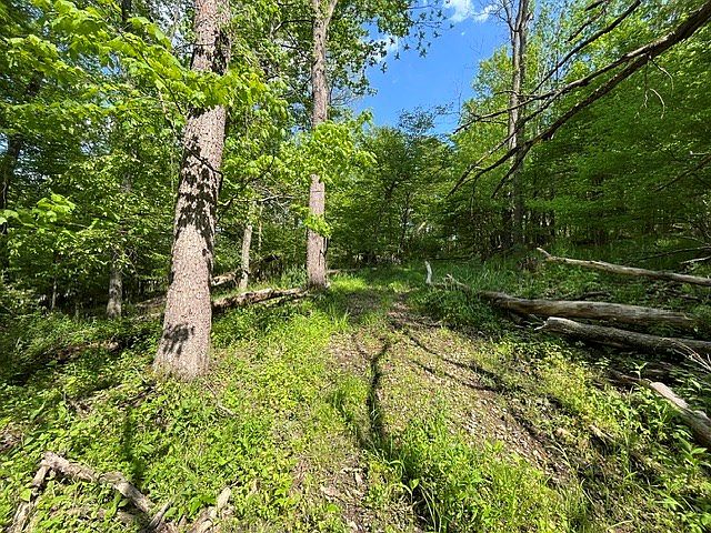 2nd image of 0 Possum Run Rd