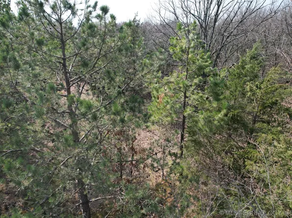 Independence Rd, Heavener, OK 74937