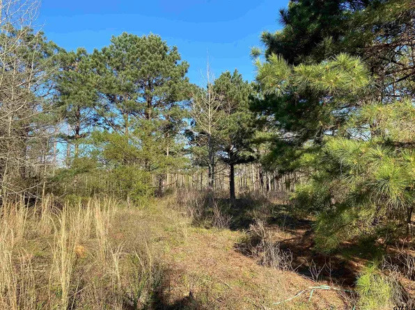 1 County Road 1135, Mount Pleasant, TX 75455