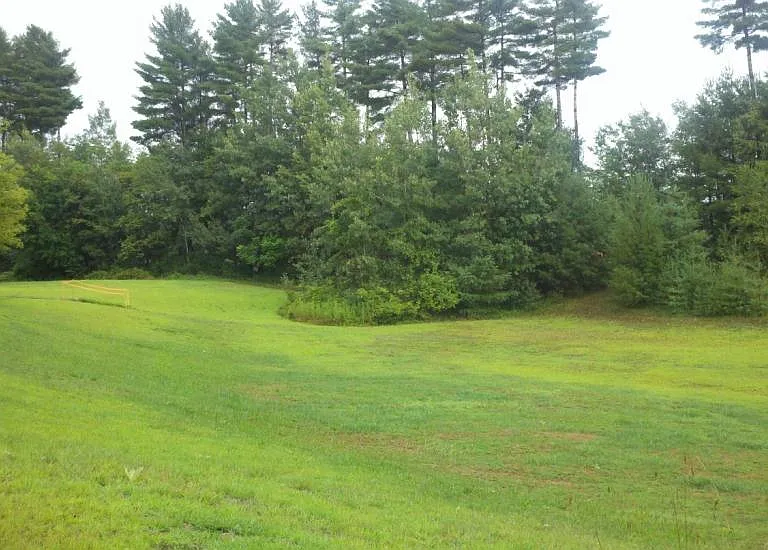 Grounds