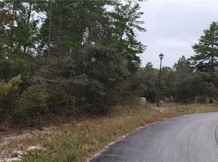 14 Thunbergia Ct, Homosassa, FL 34446