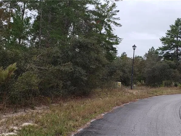 16 Thunbergia Ct, Homosassa, FL 34446