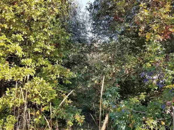 833 Martin Rd, Starr, SC 29684