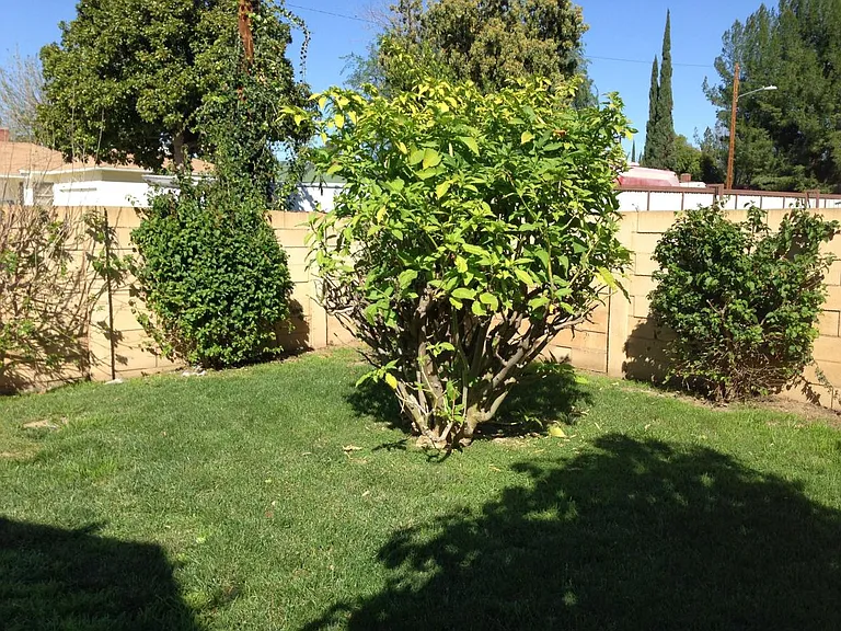 9024 Geyser Ave — Photo 18