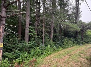 L1 Nine Mile Tree Road, Mayfield, NY 12117