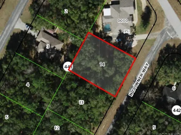 8346 N Downer Way, Citrus Springs, FL 34434