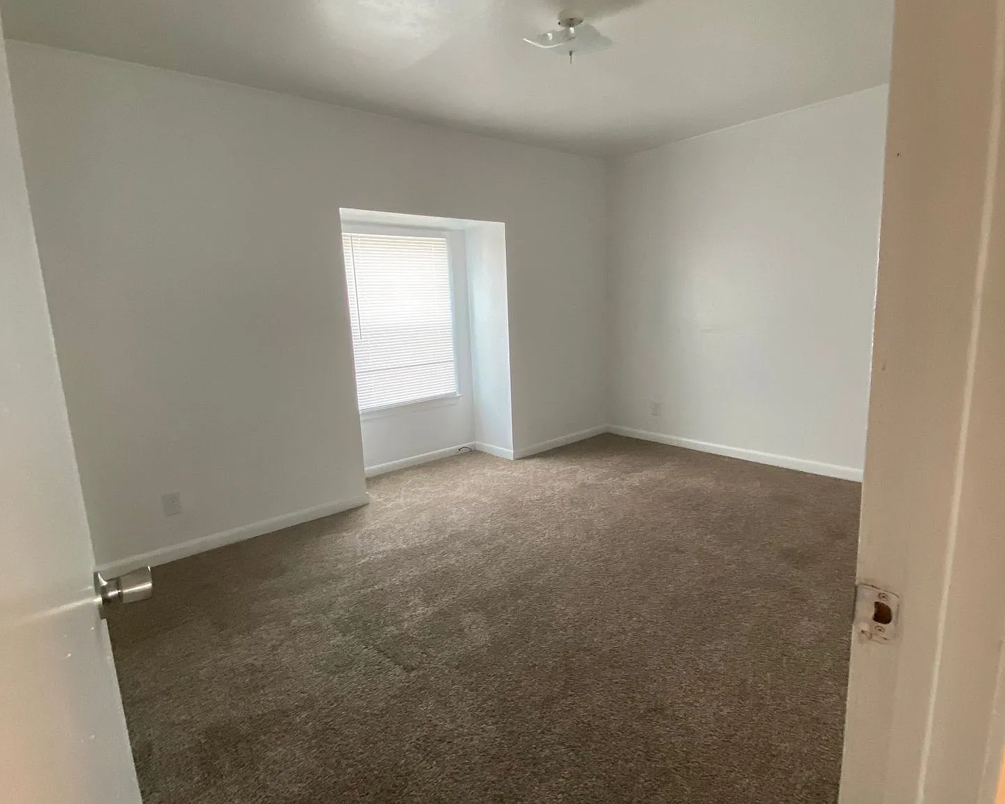 2401 Evangeline — Photo 4