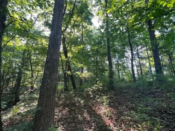 0 Sewell Branch Rd, Clifton, TN 38425
