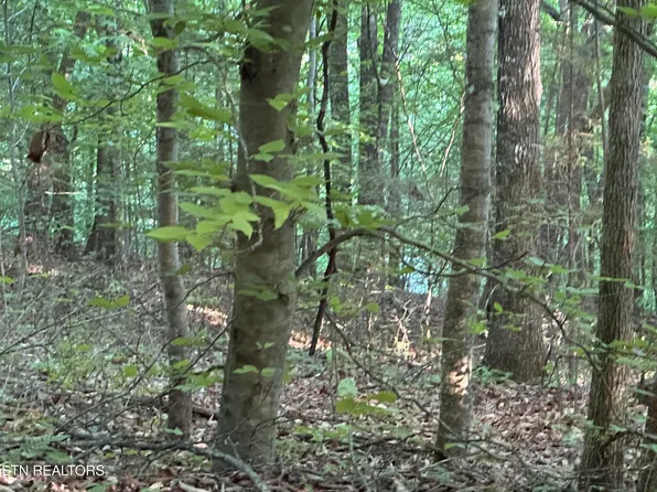 Cassies Xing, Speedwell, TN 37870