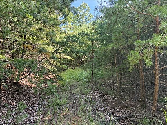 4th image of Lot 24 Wolf Pen Road
