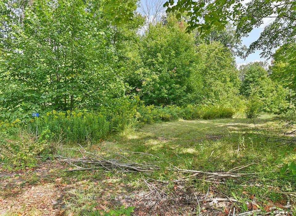 1st image of 316 High Shore Rd