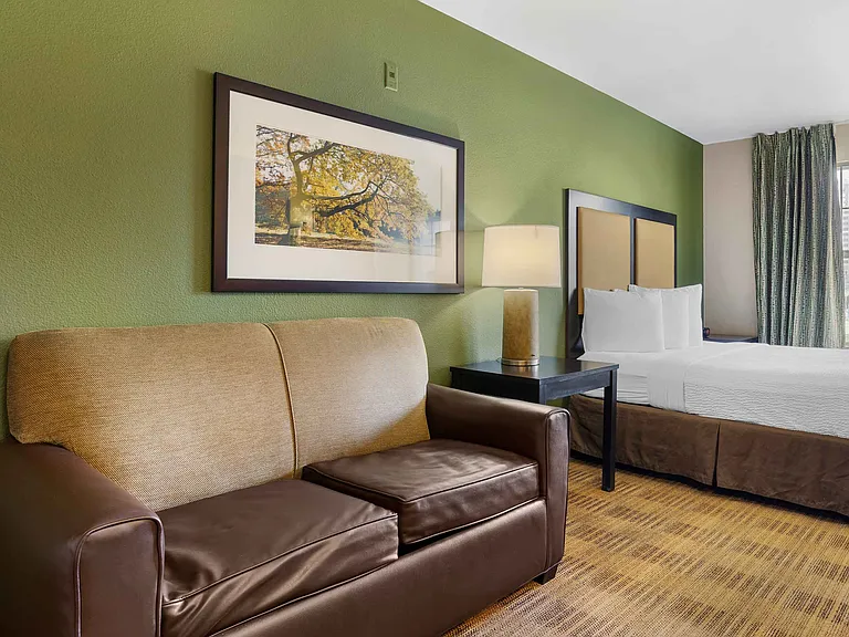 Studio Suite - 1 Queen Bed