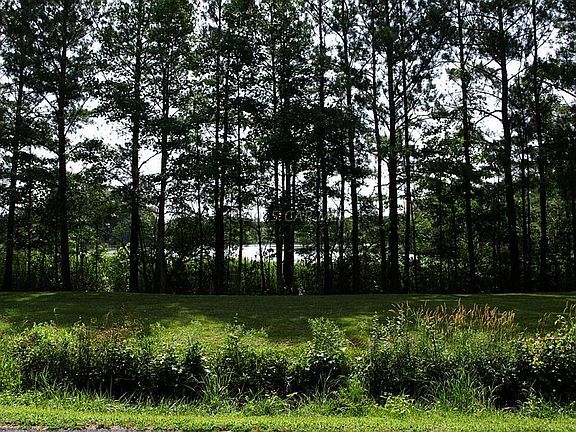 4th image of 5316 Bivens Rd