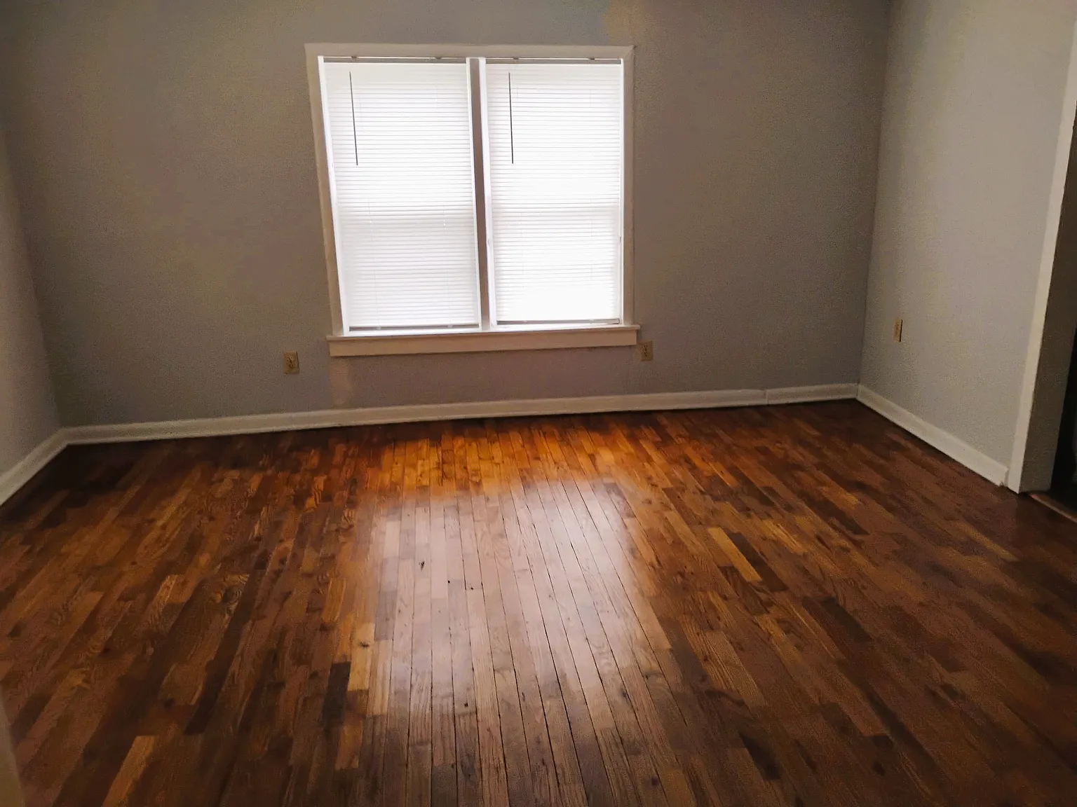 2 bed, 783 sqft, $900 — Photo 3