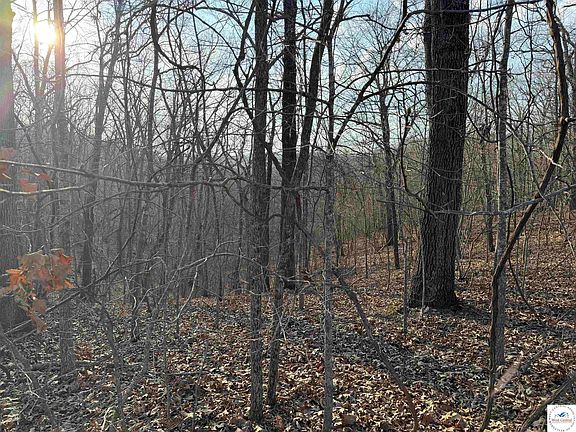 2nd image of 31432 Broken Circle Rd