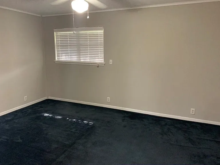 29229 Sheffield Rd — Photo 8