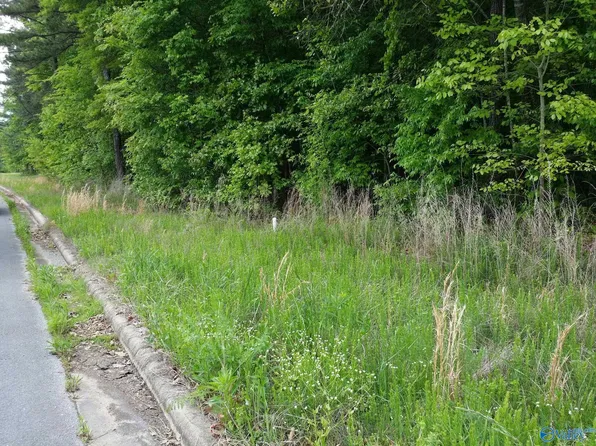 1180B County Road 155, Flat Rock, AL 35966