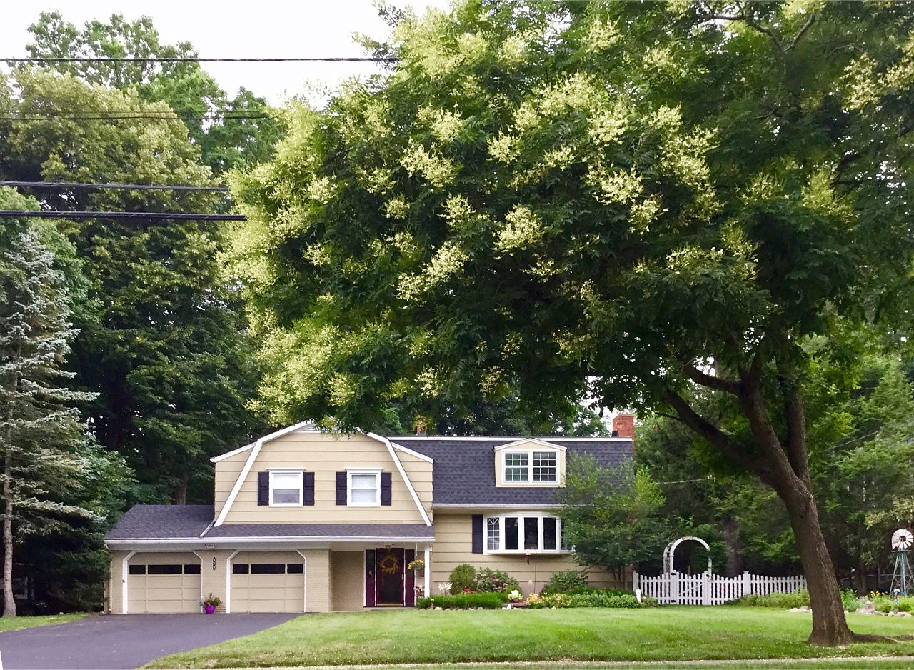 474 Stevens Ave, Ridgewood, NJ 07450 Zillow