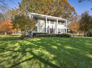 15 Jeffrey Ln, Bridgewater, NJ 08807
