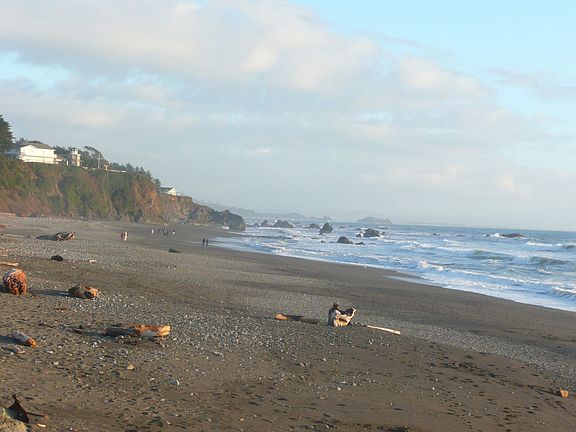 Local Beach