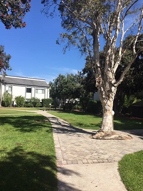 Via Real Apartments