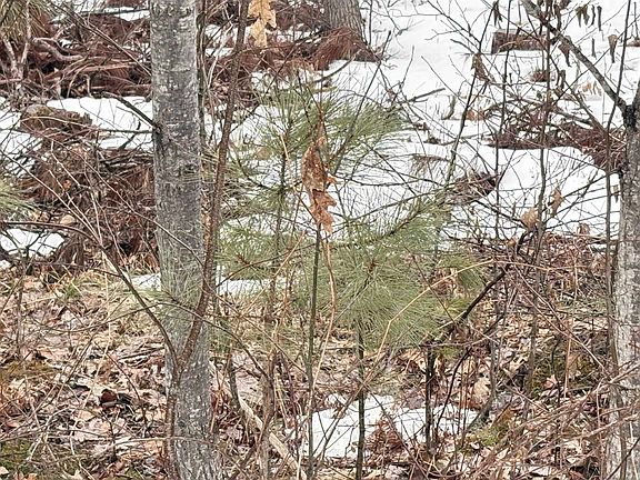 5th image of PARCEL Three Harding Rd #A