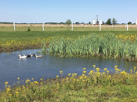 Stocked pond