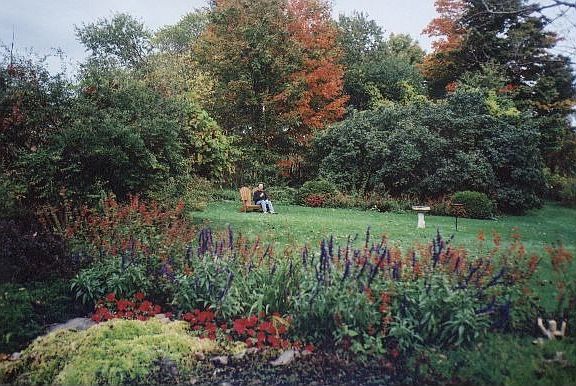 The back yard in autumn.