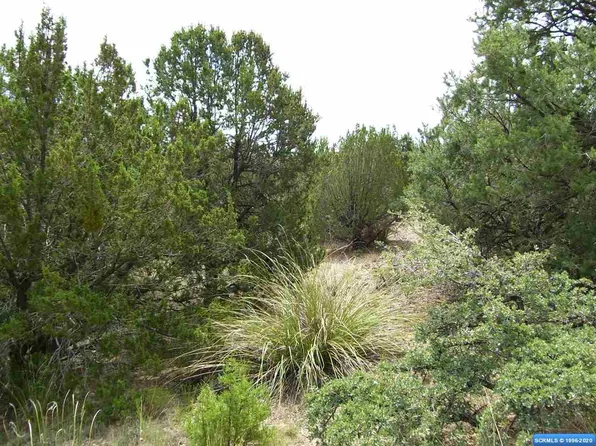 318 Las Palomas Cir Lot 23, Mimbres, NM 88049