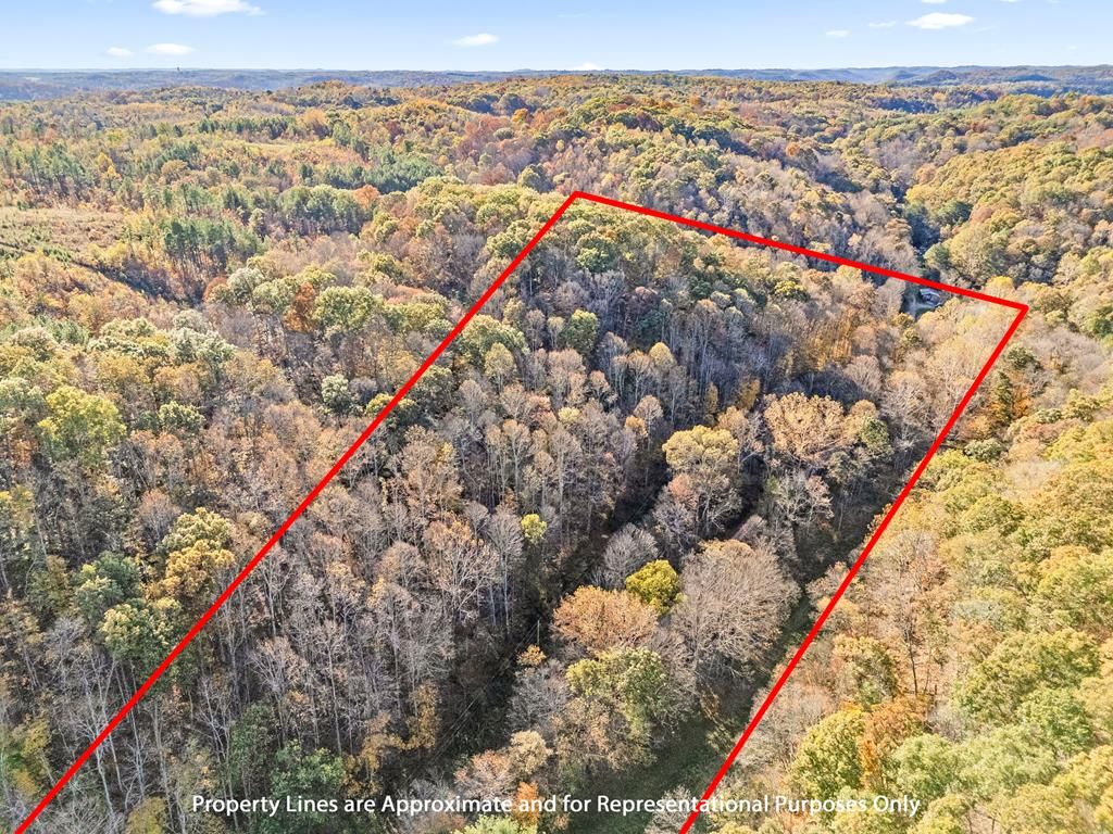 Real estate listing image
