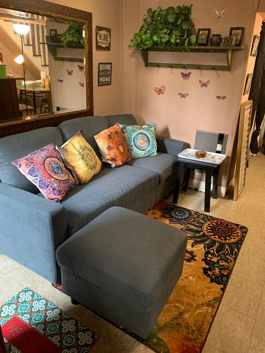 Living room area - 5317 Charles St #B