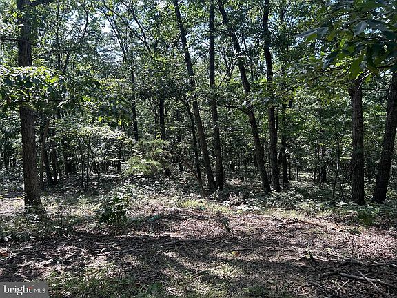 2nd image of Gun Barrel Ln