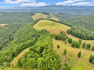 0 Strong Hollow Ln, Fort Blackmore, VA 24250