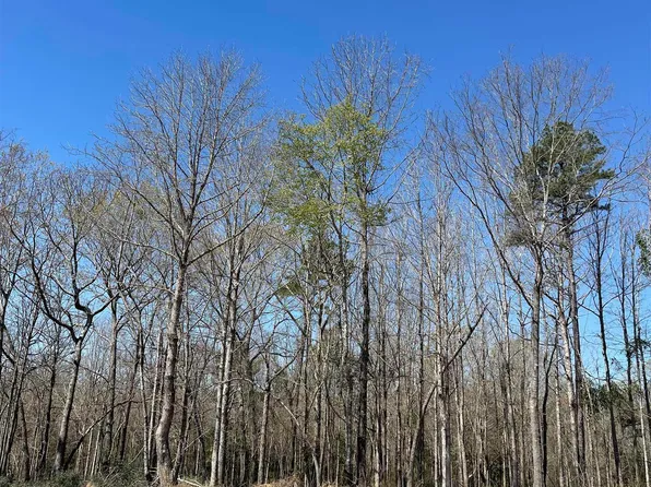 Thorn Briar Trl, Longview, TX 75602