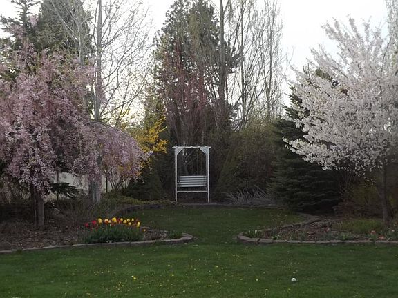 back yard (bench is gone)