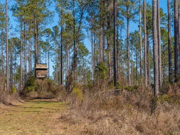 0 Bill Merritt Rd, Buena Vista, GA 31803