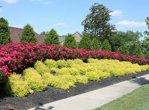4th image of 4117 Maximillion Cres Lot 90