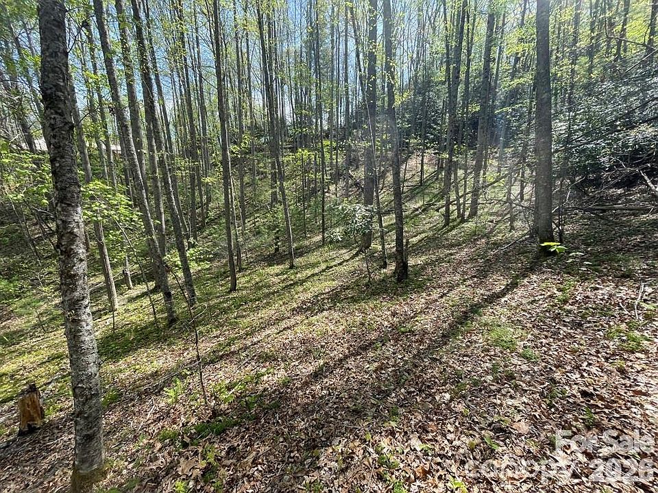1st image of 0 Cawood Ln