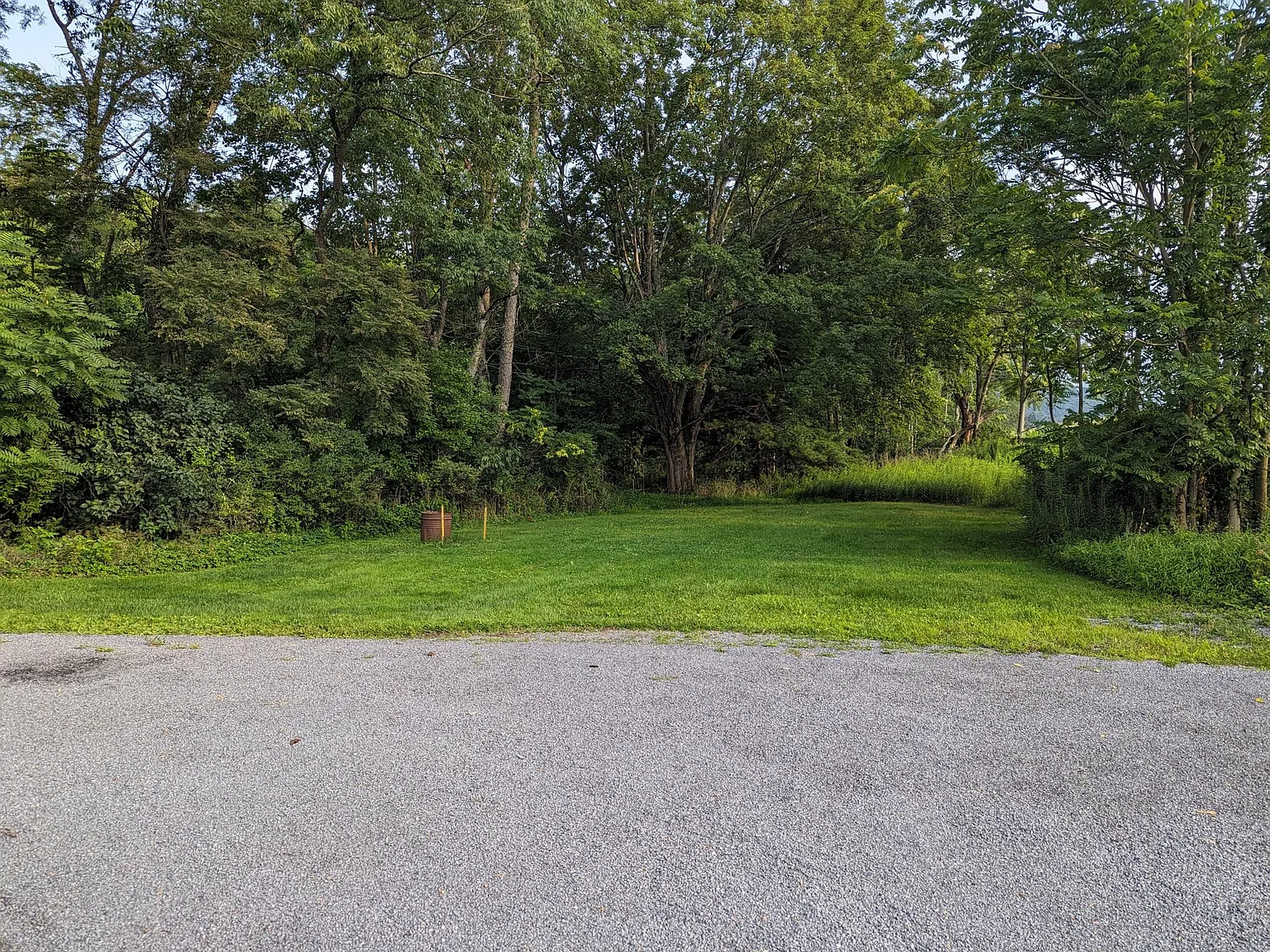 1 bed, 1000 sqft, $1,350 — Photo 4