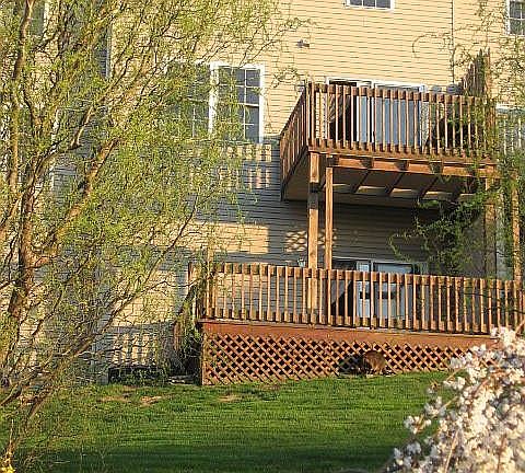Back of house