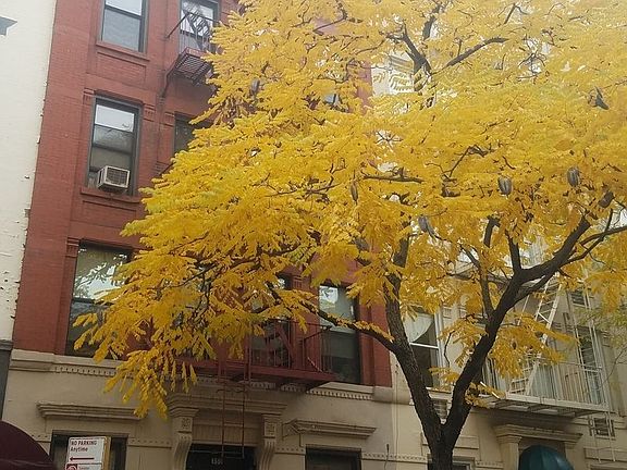 5th image of 350 E 87th St APT D2