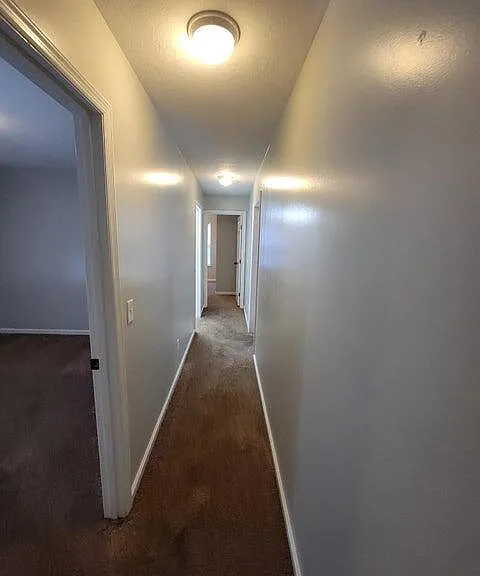 1500 Cedar Hill Trl — Photo 17