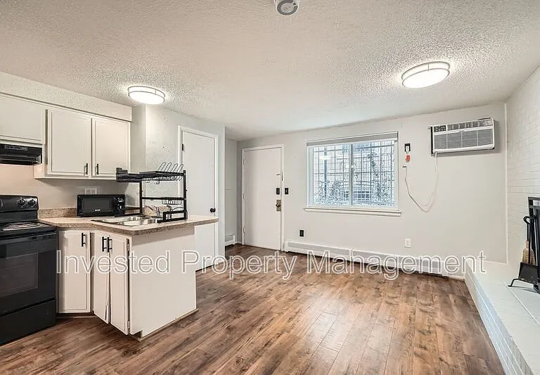 1140 N Downing St #102 — Photo 5