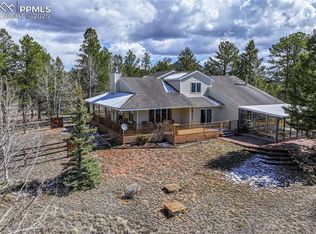 432 Vagabond Creek Dr, Lake George, CO 80827