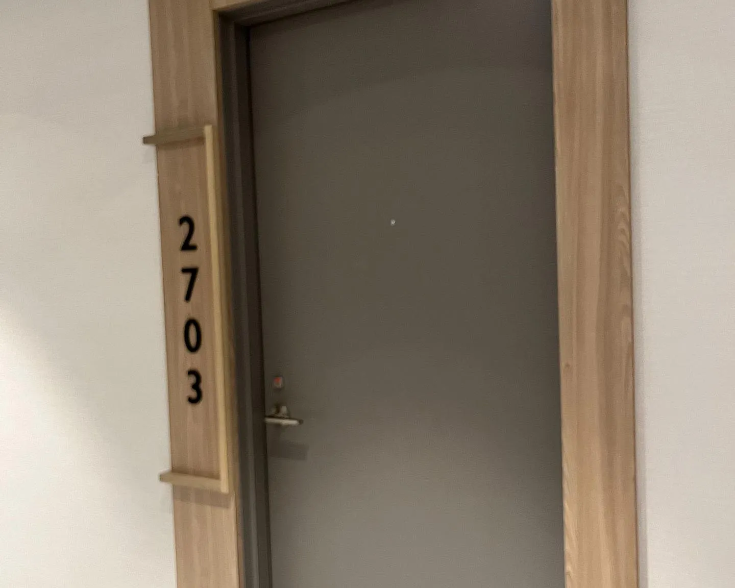2 bed, $2,395 — Photo 3