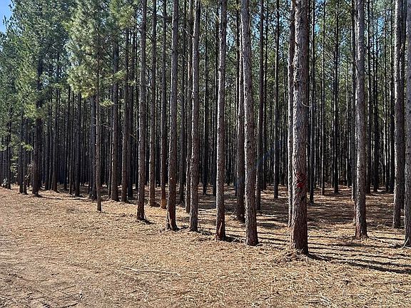 4th image of 0 Grimes Rd Lot 1