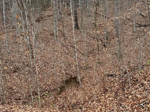 8 Stanley St, Oneida, TN 37841