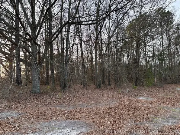 LOT 2 Midway Rd, Maxton, NC 28364