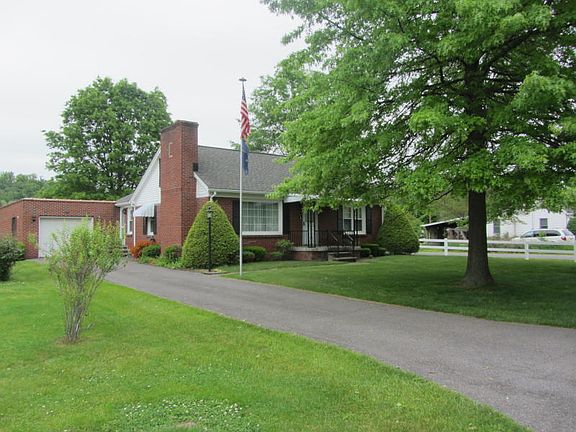 Beautiful mature tree