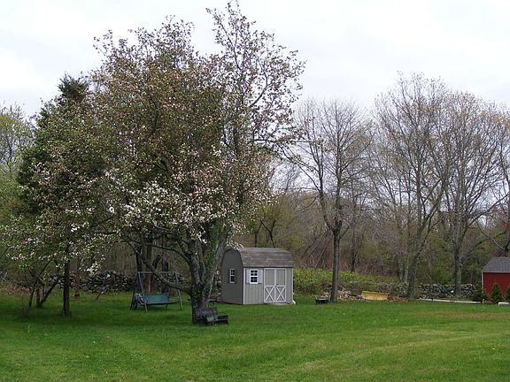 Back yard w/shed